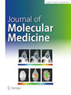 JOURNAL OF MOLECULAR MEDICINE-JMM雜志封面